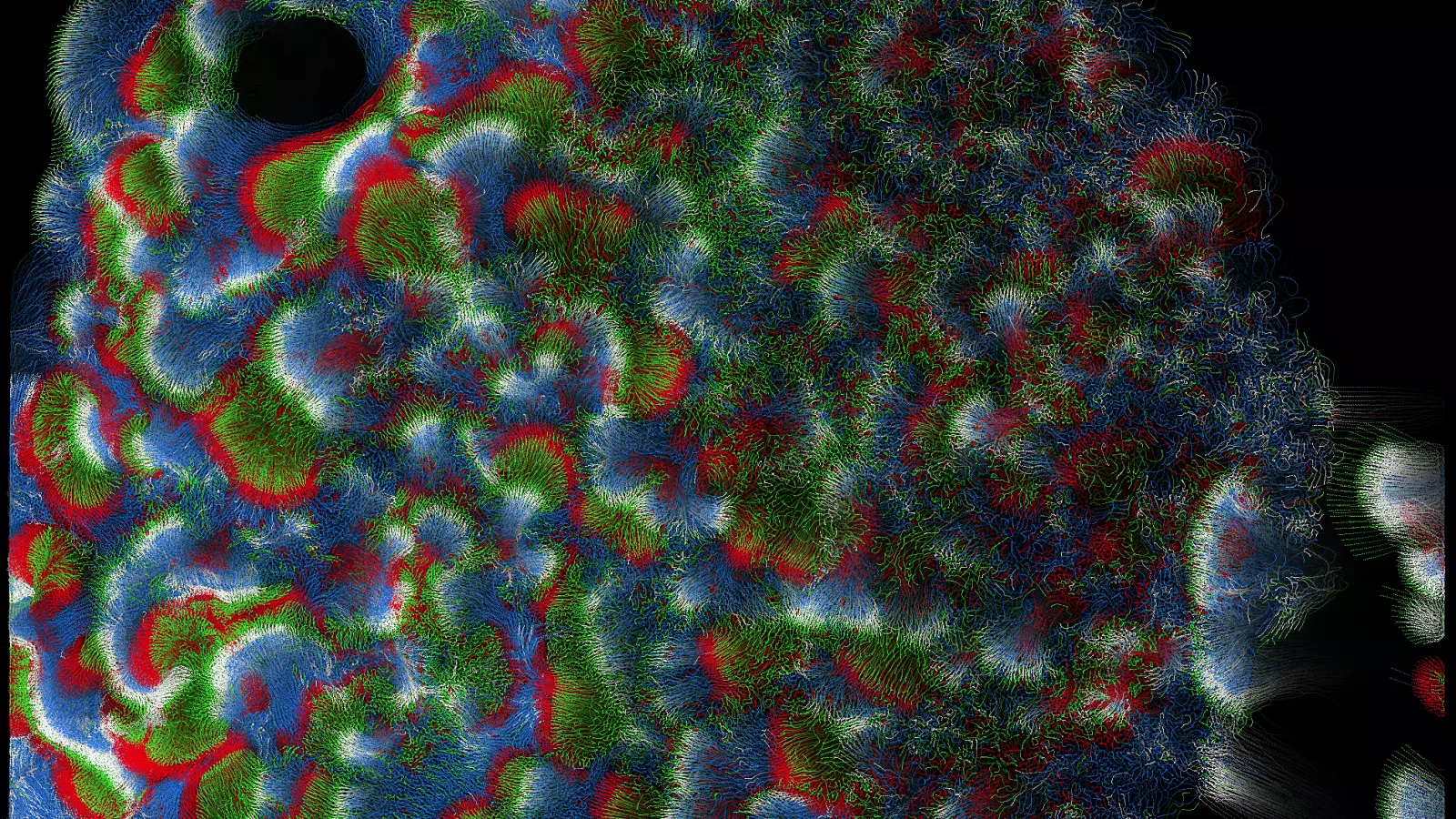 Four particle types interacts with each other